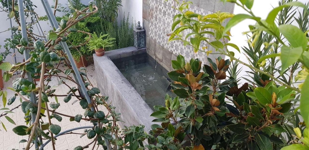 Casa Rural Los Danzantes Fuente-Tojar Kültér fotó