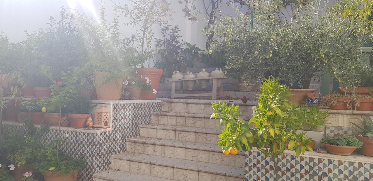Casa Rural Los Danzantes Fuente-Tojar Kültér fotó
